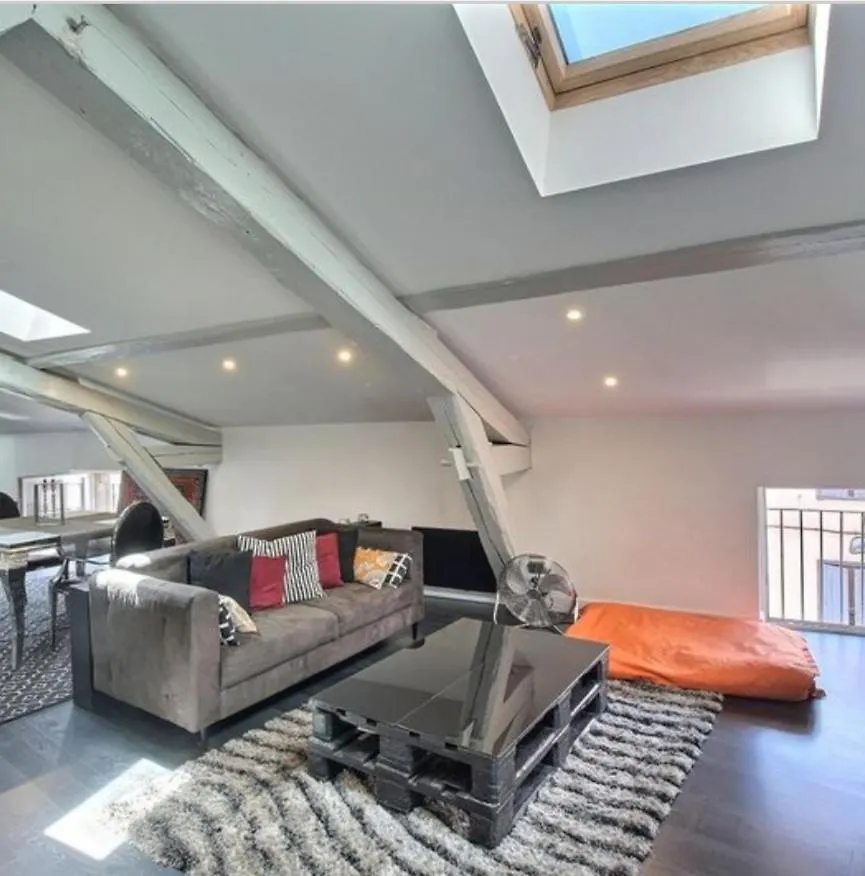 Loft, Centre Ville, Atypique De 100M2 Castres  Apartment Castres (Tarn)
